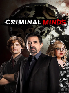 Esprits criminels saison 8 épisode 3