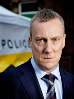 DCI Banks Saison 1 en streaming français