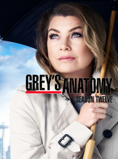 Grey's Anatomy 2023 saison 12 épisode 22