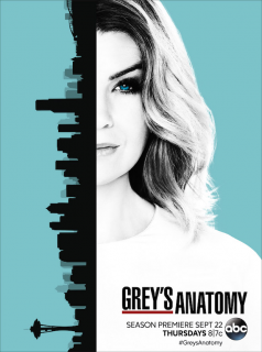 Grey's Anatomy 2023 saison 13 épisode 8