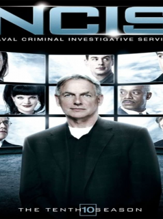 NCIS : Enquêtes spéciales saison 10 épisode 17