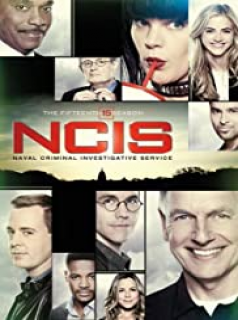 NCIS : Enquêtes spéciales saison 15 épisode 14