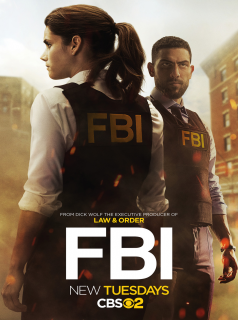 F.B.I. saison 1 épisode 13