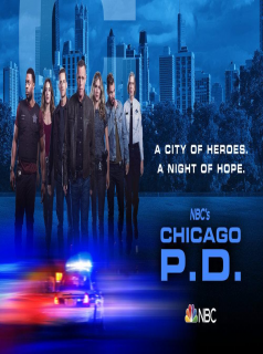 Chicago Police Department saison 7 épisode 3