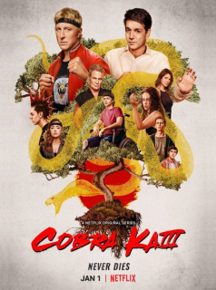 Cobra Kai saison 3 épisode 9