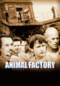 Animal Factory streaming