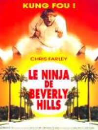 Le Ninja de Beverly Hills streaming