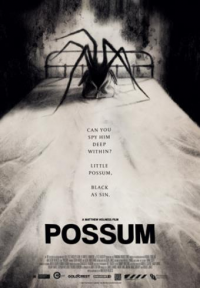 Possum