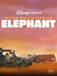 Sur la route des éléphants streaming