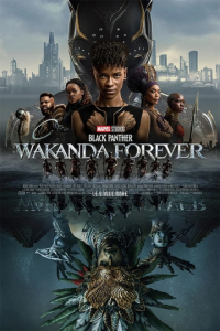 BLACK PANTHER : WAKANDA FOREVER 2022 streaming