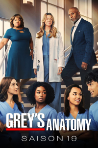 GREY'S ANATOMY - SAISON 19 streaming