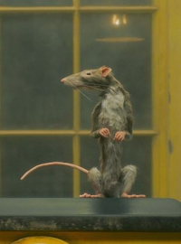 LE PRENEUR DE RATS