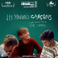 Les Mauvais garçons streaming