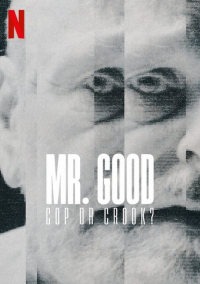 Mr. Good : Flic ou baron ? streaming